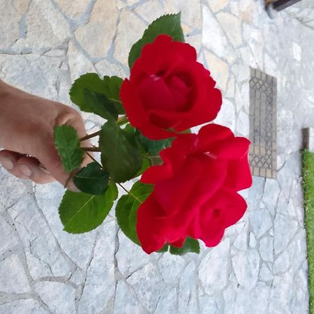 Villa Melograno Μόσταρ Εξωτερικό φωτογραφία