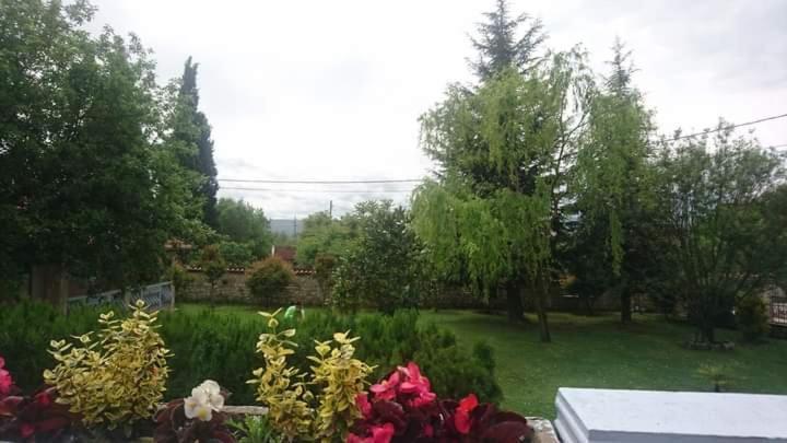 Villa Melograno Μόσταρ Εξωτερικό φωτογραφία