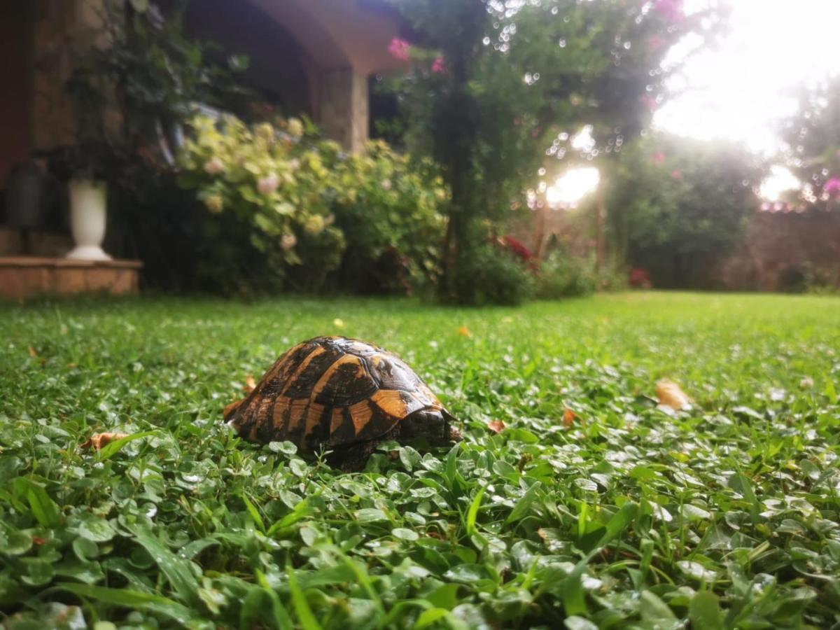 Villa Melograno Μόσταρ Εξωτερικό φωτογραφία